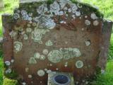 image of grave number 547439